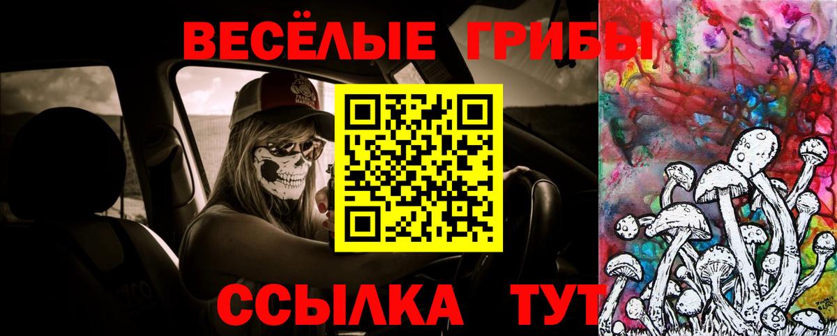 Галлюциногенные грибы MAGIC MUSHROOMS Майкоп