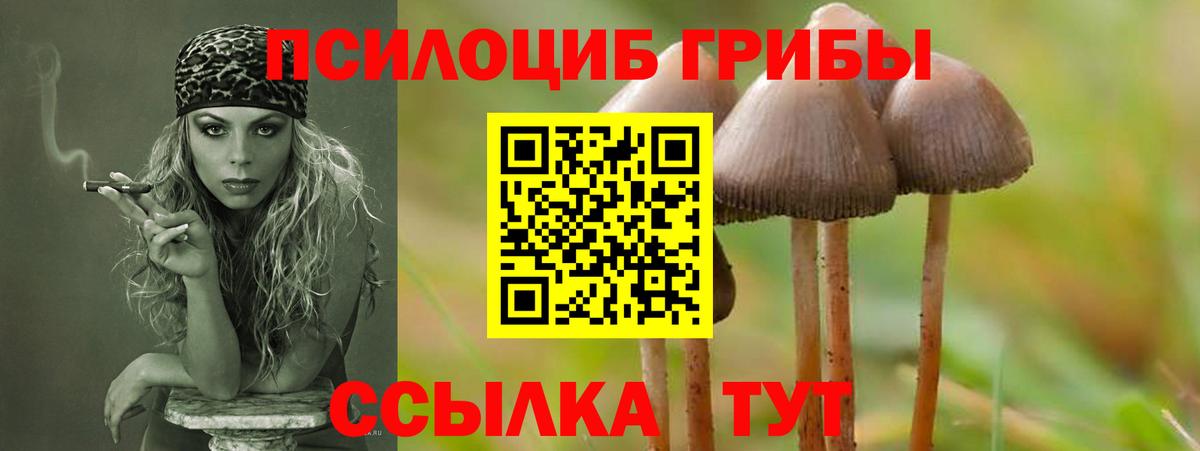 Майкоп  Галлюциногенные грибы мицелий  Вход с VPN  Галлюциногенные грибы MAGIC MUSHROOMS 